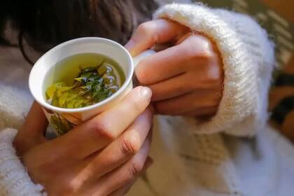 Fácil, rápido y un gran coadyuvante para procesos gripales