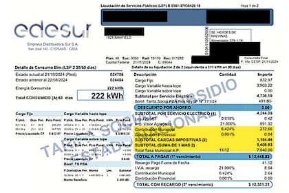 Facturas de Edesur, de Banfield, reflejan un costo mayor en concepto de impuestos ($12.448,83) que aquel propio del consumo energético ($4.244,39).