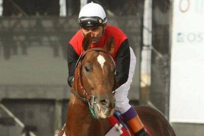 Como jockey, Facundo Ortiz obtuvo múltiples estadísticas y clásicos en varias provincias, incluidas dos finales de la Copa UTTA