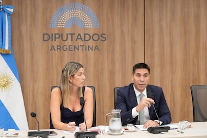 Facundo Correa Llano presidirá la Comisión de Energía y Combustibles en reemplazo de Villaverde
