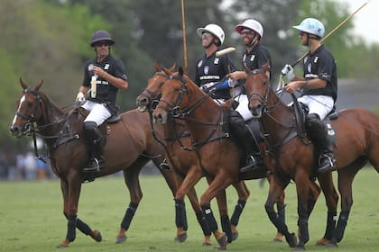Facundo, Gonzalo (h.), Pablo y Nicolás Pieres, tres hermanos y un primo que abrevan del mismo centro de cría: Ellerstina.