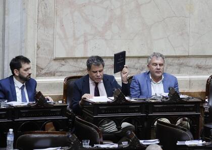 Facundo Manes durante la primera jornada de la sesión por la "Ley Ómnibus" en la cámara de Diputados