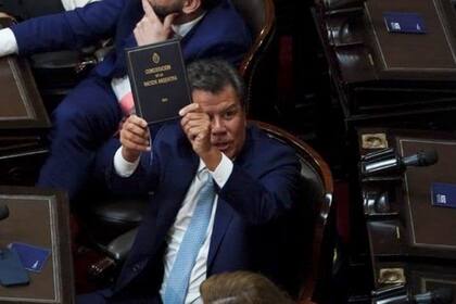 Facundo Manes, en el Congreso