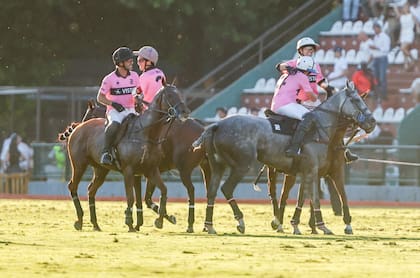 Facundo Pieres y Antonio Heguy sonríen, y Cruz Heguy y Gonzalo Pieres (h.) se abrazan; en su primera temporada como fusión, Ellerstina-Indios Chapaleufú llegó a la final de Palermo, tras perder ajustadamente la de Tortugas.