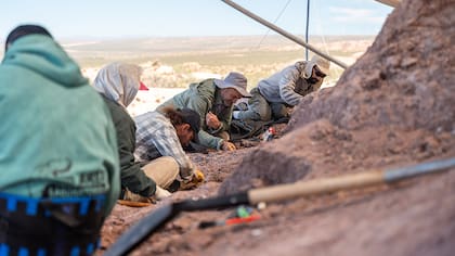 Facundo Riguetti en trabajo de campo junto con colegas.