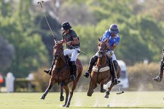 Palermo entra en ebullición: el primer gran cruce, que define un futuro de ilusiones (o no)
