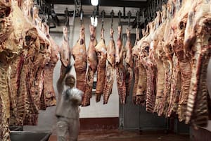 Cepo a la carne: un fracaso que el Presidente presentó como un éxito