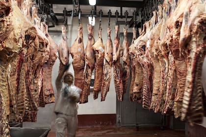 El 70% de las exportaciones en octubre último fue de carne deshuesada (44.800 toneladas promedio al mes), el 17% de huesos y carne con hueso (10.500 toneladas) y el 13% restante son menudencias (8300 toneladas)