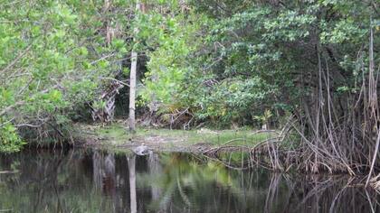 Fairdchild, en Miami
Foto: Cristian Ávila Jiménez / EL TIEMPO