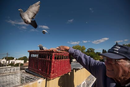 Los países donde más se practica son Holanda y Bélgica