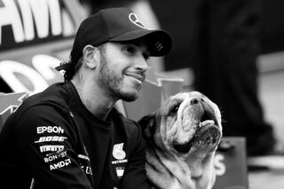 Murió Roscoe, el famoso perro de Lewis Hamilton: “Tuve que tomar la decisión más difícil de mi vida”