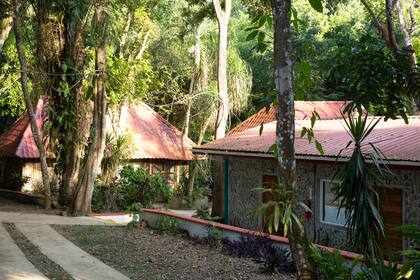 Falling Leaves, San Ignacio.