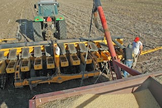 Nutrientes: se sigue sembrando a ciegas