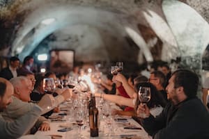 Una guía para conocer la ruta del vino de Uruguay