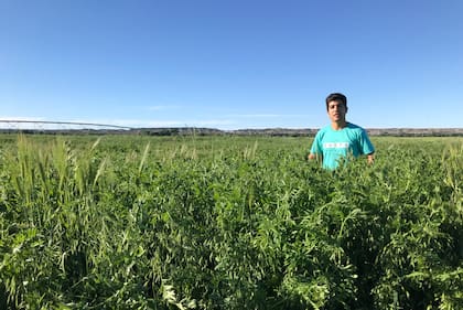 "Lo que más nos seducía era ganarle tierras al desierto, convertir ese suelo virgen, con muy baja materia orgánica en productivo. Había un potencial en la zona”, explica García