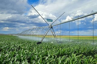 La región que podría ser un boom nunca visto con un millón de hectáreas