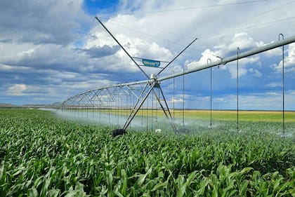 Las medidas concretas de políticas públicas que se requerían ya están incluidas en el Régimen de Incentivo a la Mediana Inversión (RIMI)