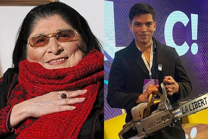 Familiares de Mercedes Sosa pidieron la renuncia de Enzo Ferreira