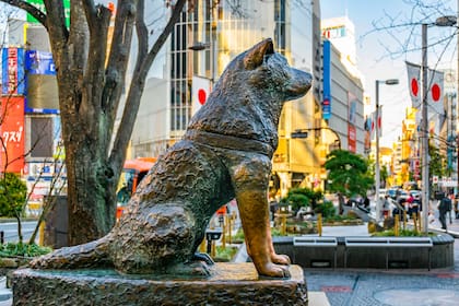 Famosa escultura del perro Hachiko en el distrito de Shibuya, Tokio, Japón