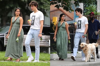 Shawn Mendes y Camila Cabello por las calles de Toronto junto a su perro