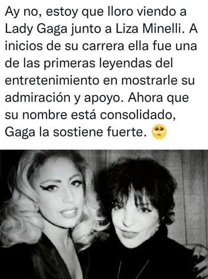 Fanáticos de las artistas destacaron el gesto de Gaga arriba del escenario, que acompañó en todo momento a Liza Minnelli