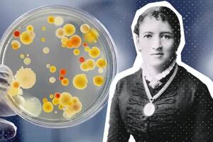 La fascinante historia de la mujer que revolucionó la microbiología con un ingrediente de cocina