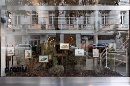 Fauna y flora nativa en la vidriera de Praxis, obra de Romina Orazi