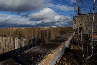 Fauna y vegetación en el paisaje radiactivo de Chernóbil muestran la resiliencia de la naturaleza