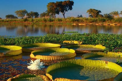 Favorecer el uso ambientalmente respetuoso y las actividades que preservan sus funciones ecológicas es la mejor manera de preservar los humedales