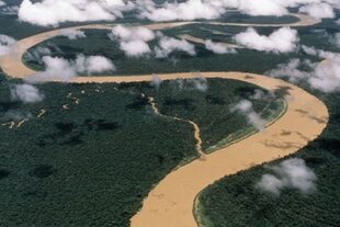 Fawcett creía que había una ciudad deshabitada que mostraría los restos de una gran civilización en medio de la selva amazónica