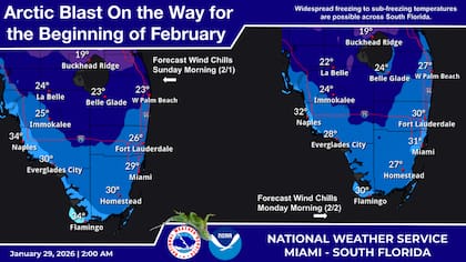 Febrero comenzará con temperaturas significativamente bajas en Miami y sus alrededores
