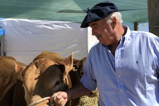 Quién es el criador que quiere ser presidente de la Rural