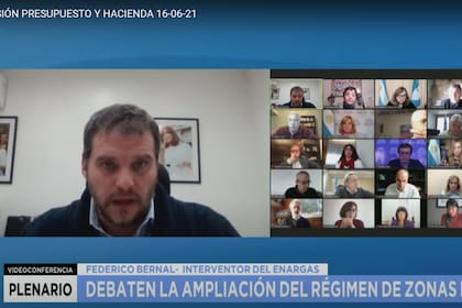 Federico Bernal expuso ante el Senado