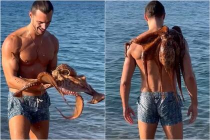 Federico Cola mostró la inmensidad de este animal que encontró en el mar