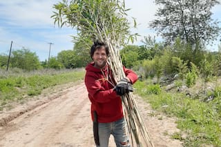 Menos plásticos: emprendimientos que apuestan a los materiales compostables