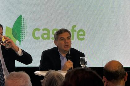 Federico Landgraf, director ejecutivo de Casafe