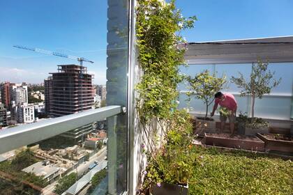 Federico Moschettoni prepara terrazas en Olivos