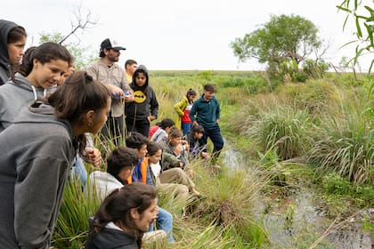 Federico Parrilli lleva adelante un proyecto sobre carnívoras con el apoyo de National Geographic.