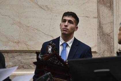 Federico Sharif Menem, en la Cámara de Diputados