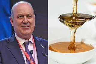 Sturzenegger contó cómo productores argentinos se quedaron con gran parte de la cuota de miel europea