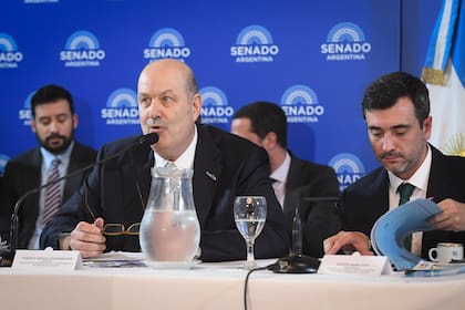 Federico Sturzenegger en la Reunión Plenaria de las Comisiones de Asuntos Constitucionales y Legislación General en el Salón Azul del Honorable Senado de la Nación, Buenos Aires, Argentina.