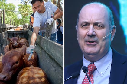 Federico Sturzenegger fue uno de los promotores de la desregulación de la vacuna antiaftosa