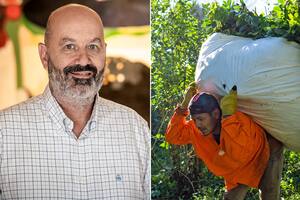 Federico Sturzenegger se refirió a una normativa del Instituto Nacional de la Yerba Mate