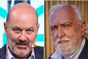 El Colegio Público de Abogados de la Ciudad se opone al divorcio administrativo de Sturzenegger