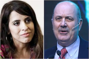 Sturzenegger explicó las modificaciones en el régimen de empleo doméstico