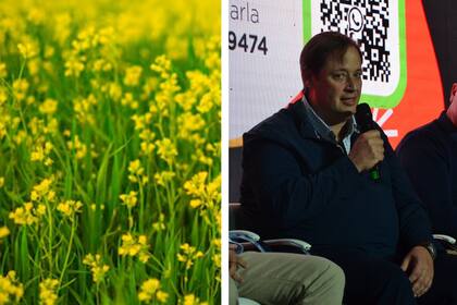 Federico Varela, de Chacraservicios, destacó que comenzaron a adaptar variedades de camelina por los beneficios que tiene