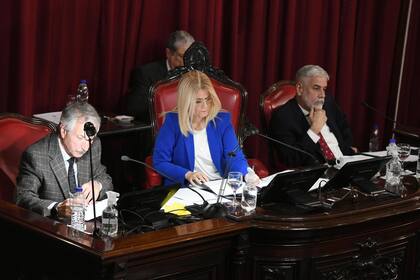 Feletti retomó funciones en el Senado bonaerense en la sesión del miércoles