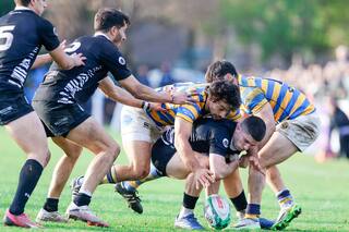 Belgrano e Hindú ganaron partidos importantes con los regresos de dos medio-scrums internacionales