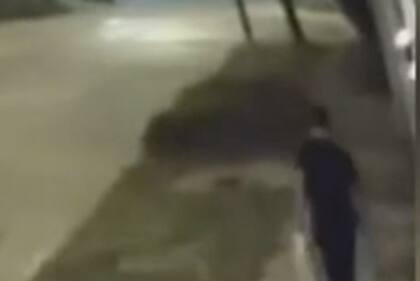 Femicidio en Campana