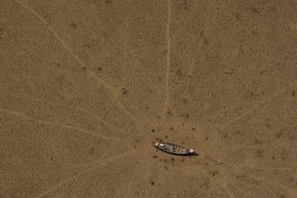 The Curuai lake is almost completely dry during one of the worst droughts ever recorded in the Amazon region.